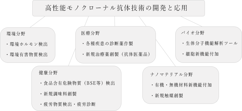 高性能モノクローナル抗体創製法の開発